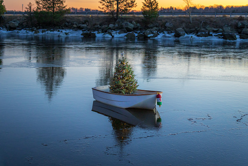 A Christmas tree in a boat, Rhode Island. 2021.