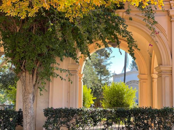 istock Sun shines through a plant-covered arch 1360602013