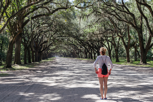 Woman on the beginning of the long road with canopy of old live oak trees draped in Spanish moss.