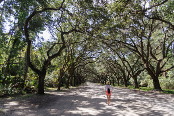 istock A tourist in the southern US state 1360604699