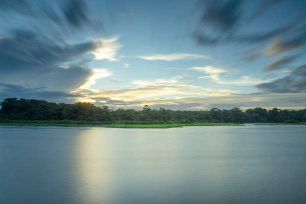 Country: Costa RicaLocation: Tortuguero National Park