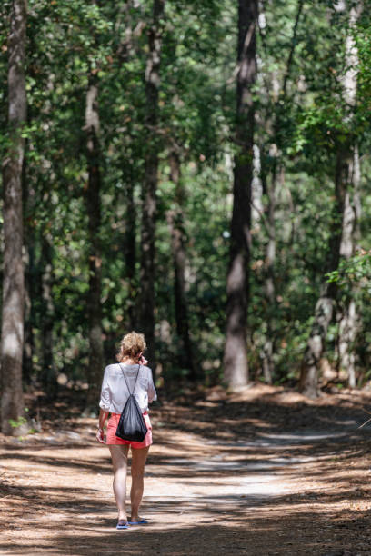 istock Woman hiking along a forest road 1360606062
