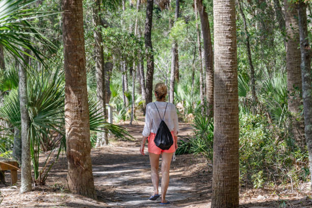 istock Back view of a young woman hiking 1360606729