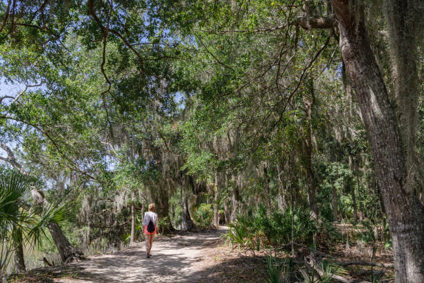 istock A tourist is exploring the area near Savannah 1360607414