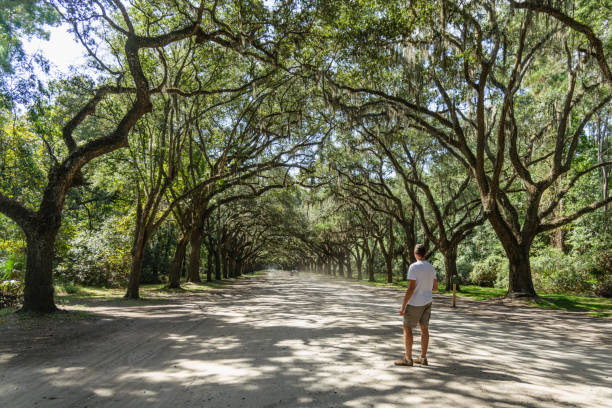 istock Back view of a man standing on a country road 1360607445