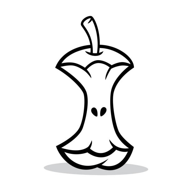 Apple Core Doodle 5 Vector illustration of a hand drawn, black and white apple core against a white background. apple core stock illustrations