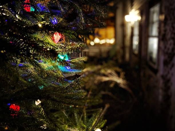istock Close Up - Christmas Tree at Night with Lights 1360619793