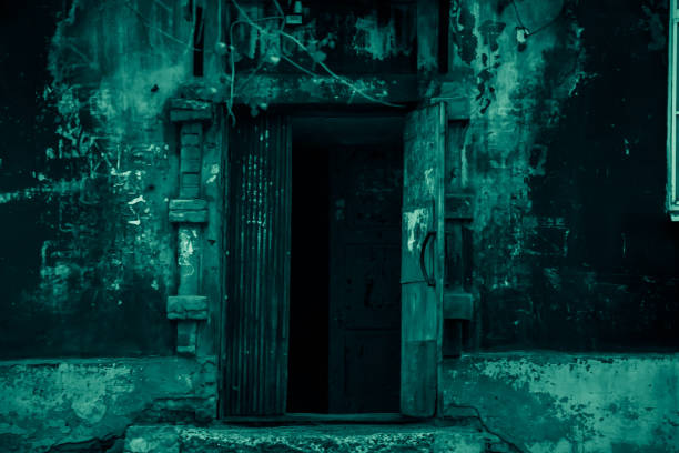 entrada de porta aberta para um corredor escuro do porão de uma casa mística estranha e assustadora abandonada com sombras negras e lua verde azul luz misteriosa em estilo de horror - basement spooky cellar door - fotografias e filmes do acervo