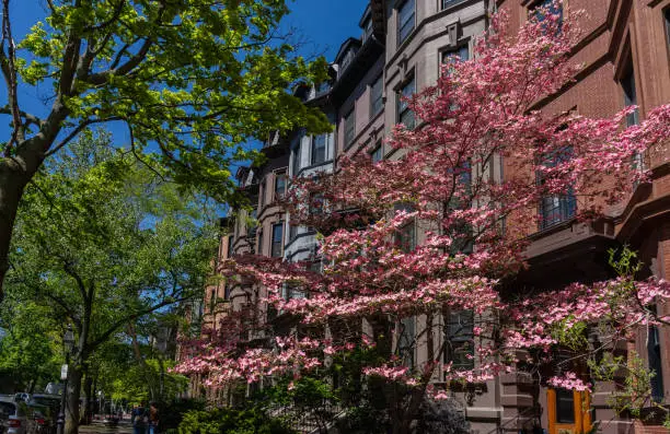 Photo of Old street in Boston in May