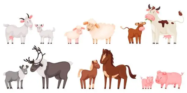 Vector illustration of Cartoon farm animal family, cute baby animals and their mothers. Mother pig with little piglet, sheep and lamb, cow and calf vector set