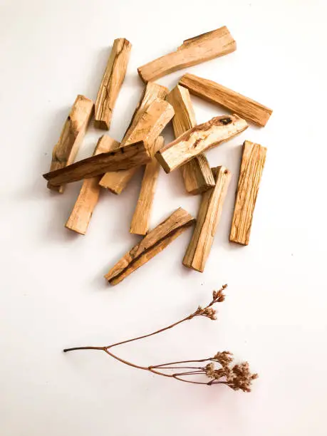 Photo of A set of wooden sticks Palo Santo on a white background. Aromatherapy and religious rites and meditations. Organic holy tree incense fr