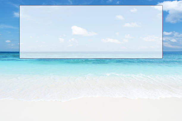 Turquoise sea and sand beach, top view. 3D rendering