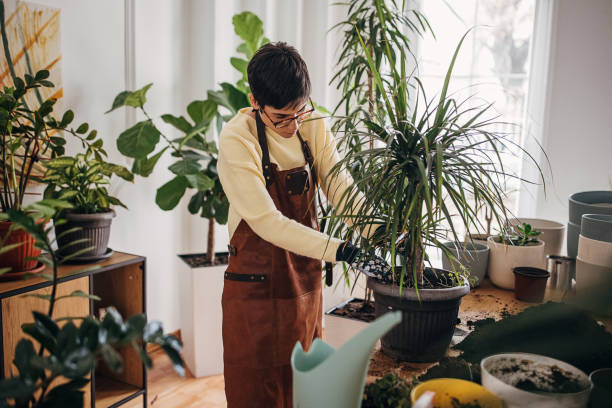 istock Woman gardening houseplants 1360654320