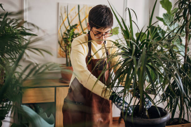 istock Woman gardening houseplants 1360654909