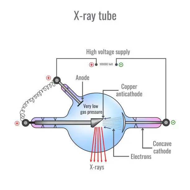 Vector illustration of X ray tube vector illustration