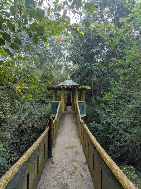 istock Nature walk on bridge pathway, Kulgi, Dandeli, Karnataka, India 1360658177