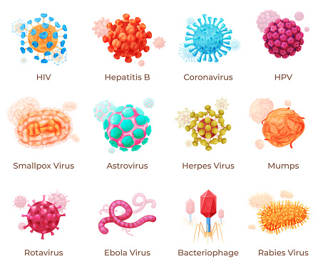 Human viruses with names infographic collection vector. Disease virus cell medical microbiology