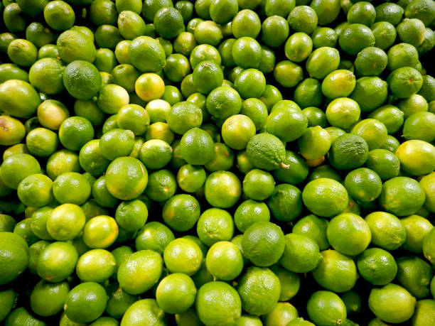 istock Lime citrus fruit, Persian lime, Citrus × latifolia 1360659494