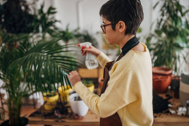 istock Woman watering indoor plants 1360659894