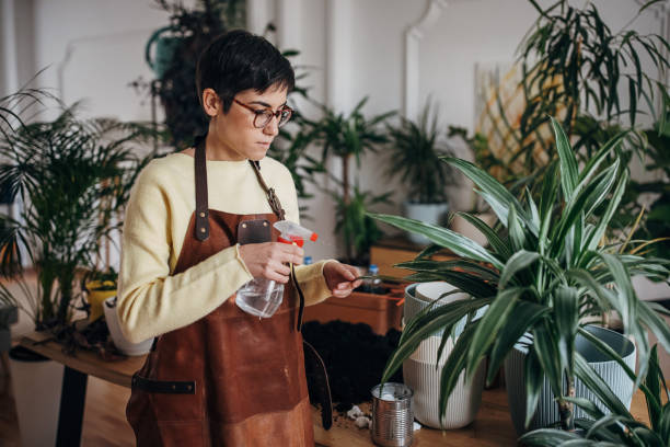 istock Woman watering indoor plants 1360659921