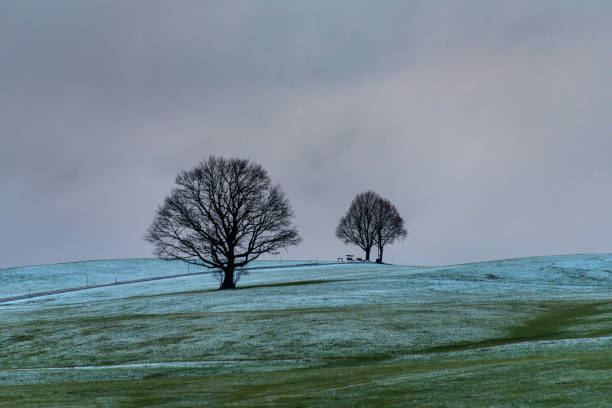 Winter in carpathian muntains