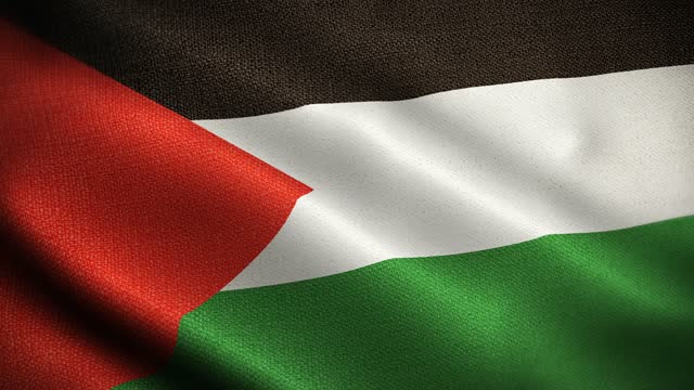 480+ Palästinensische Flagge - Lizenzfreie 4K- und HD Stock Videos