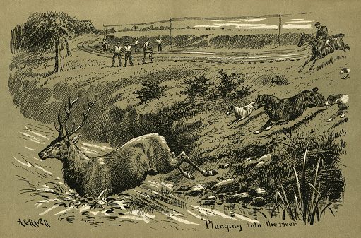 Vintage illustration Dogs and hunter chasing stag across a railway track, Victorian 19th Century. From, Wild Sport in a city, by Charles Squire, Victorian 1890s, 19th Century