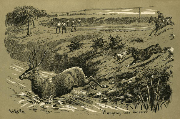 Dogs and hunter chasing stag across a railway track, Victorian hunting 19th Century vector art illustration