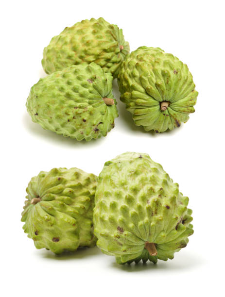 Custard apple Custard apple isolated on white background,annona noni fruit stock pictures, royalty-free photos & images