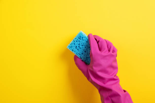 istock Hand in glove holding washing sponge 1360675304