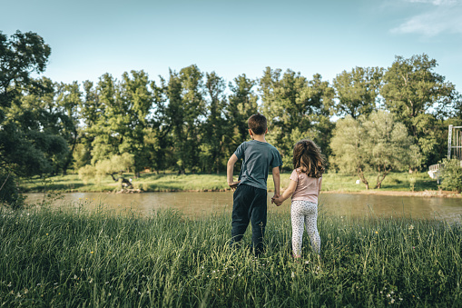Back view of little brother and sister while standing in grass field, holding hands and looking river