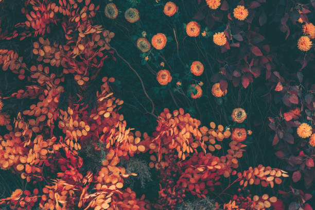 istock Beautiful Artificial Flowers Background, Vintage style; 1360677879