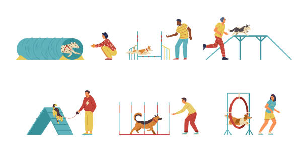ludzie trenujący swoje psy na polu zwinności - agility stock illustrations