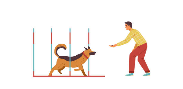 pole zwinności psa - agility stock illustrations