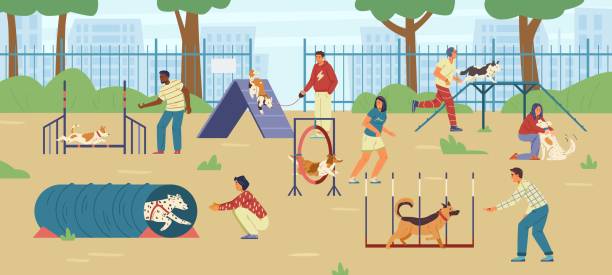 People training their dogs on agility field People training their dogs on agility field flat vector illustration. Different people with different dogs on playground. dog agility stock illustrations