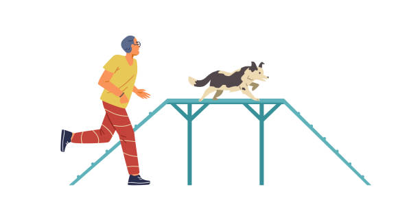 ilustrações, clipart, desenhos animados e ícones de campo de agilidade cão - men jogging running sports training