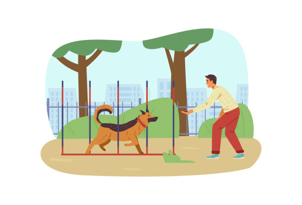 ilustrações, clipart, desenhos animados e ícones de campo de agilidade cão - men jogging running sports training