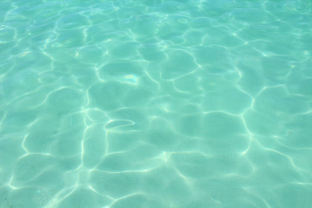 istock Beautiful transparent sea close-up. Background. Texture. 1360689998