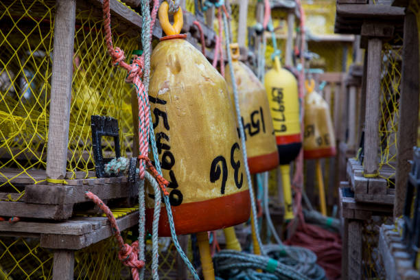 istock Buoys hanging on lobster traps 1360691980
