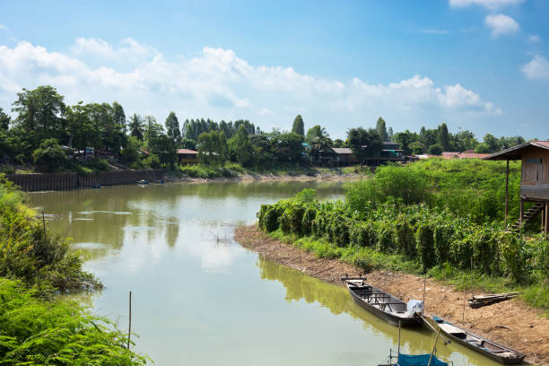 The boat on the lake surrounded by mangroves