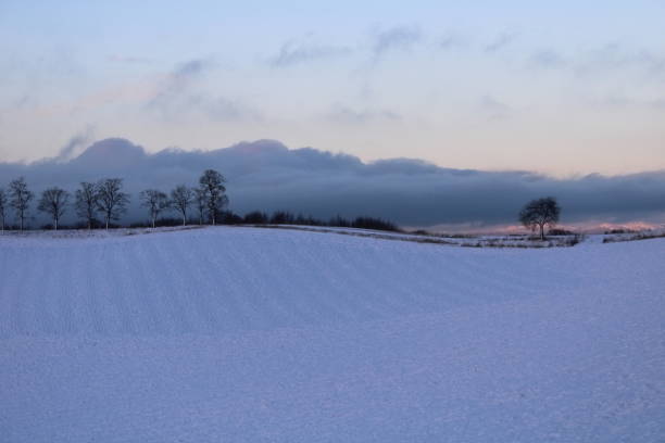 istock Snowy landscape in winter 1360700565