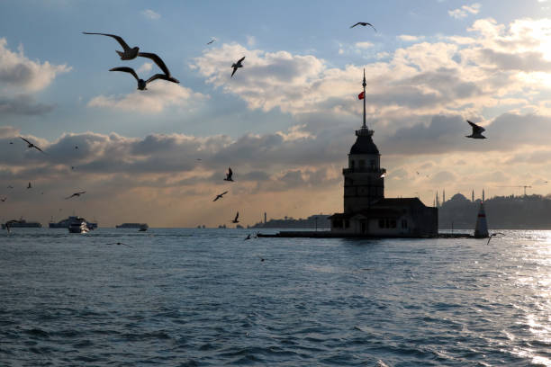 istock Maiden Tower (Kiz Kulesi) and seagulls , Istanbul - Turkey 1360701759