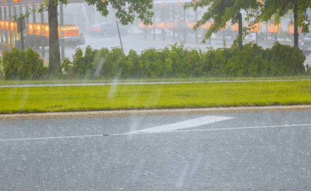 istock Rainy season heavy rainfall strong winds heavy rain drops falling on asphalt 1360703475