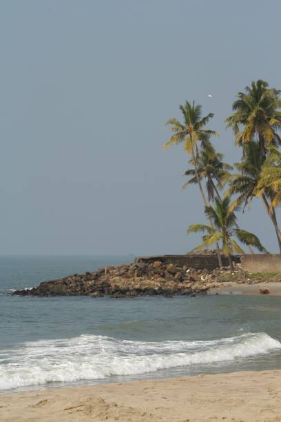 istock View from the beach with breakwater rocks and coconut trees in the background 1360704599
