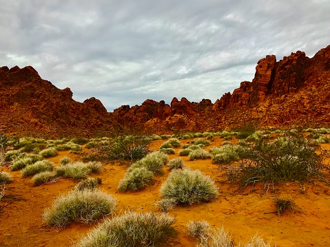 State Park in Nevada of a desert of red sandstone
