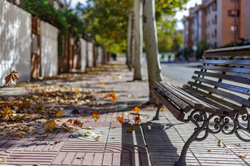 Alcorcón, Madrid, Spain. November 1 2021. Bench on the empty street sidewalk with fallen leaves. Leaves floating in the wind