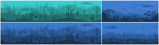 ilustrações de stock, clip art, desenhos animados e ícones de underwater background life at sea or ocean bottom. - starting at the bottom