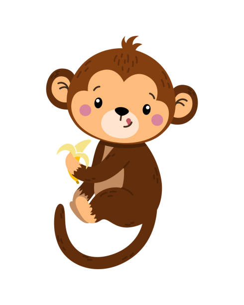 ilustraciones, imágenes clip art, dibujos animados e iconos de stock de mono de tipo banana - primate