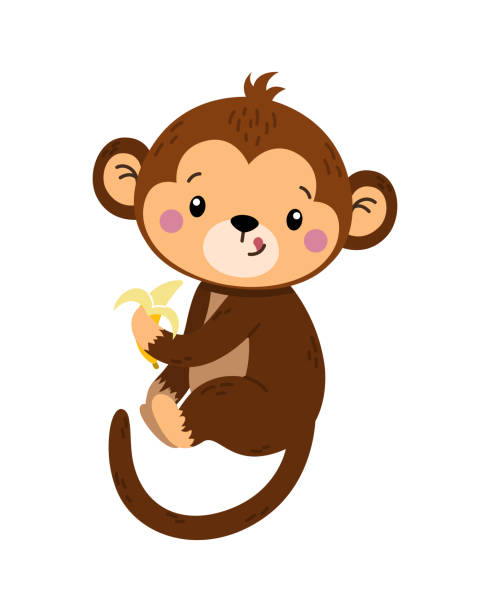 Monkey with banana Monkey with banana. Stickers and badges for children. Jungle animals, tropical characters. Exotic, africa, forest, zoo, wildlife. Cartoon flat vector illustration isolated on white background primate stock illustrations