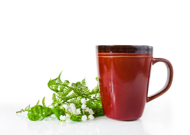 red ceramic cup with may bells flowers and fern leaves - usa restaurant flower bed beauty in nature imagens e fotografias de stock